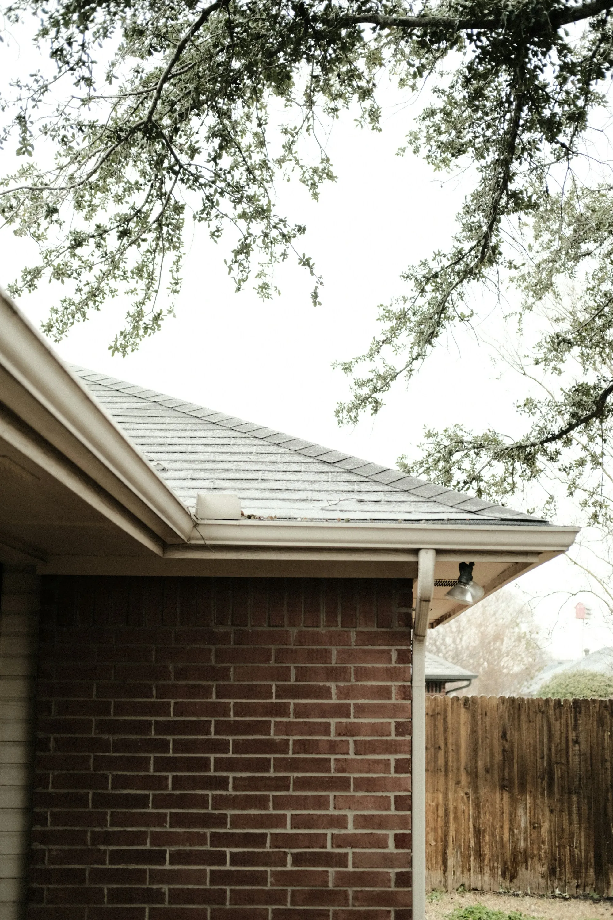 Roof plane and eave above a brick elevation