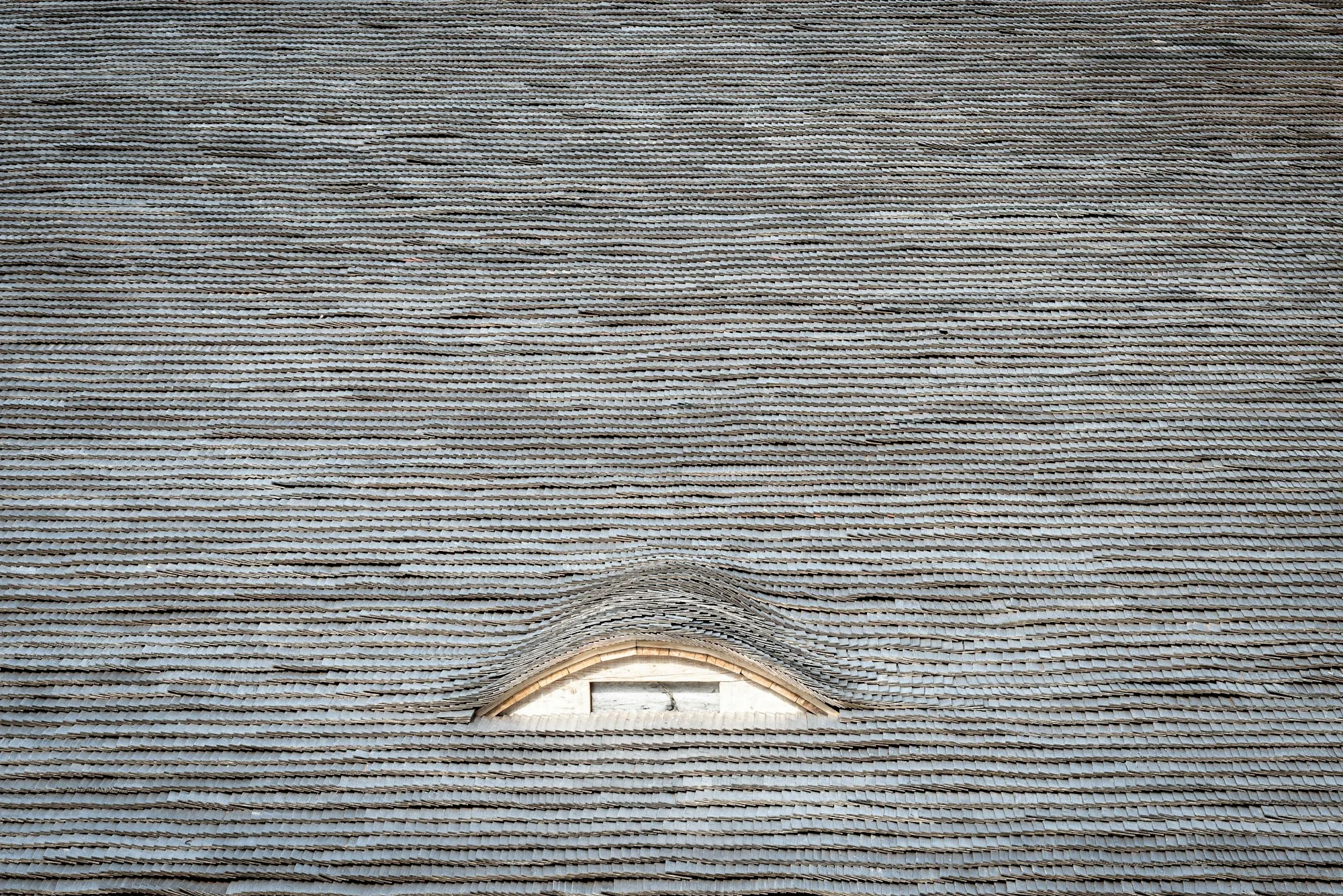Grey shingle roof with a small eyebrow vent